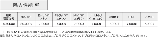 アクアセンチュリースマートチラシ2