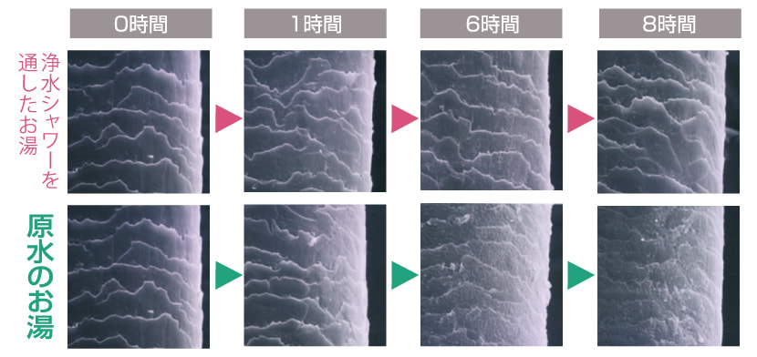 浄水シャワー試験