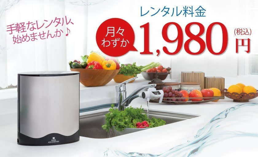 レンタル料金1980円