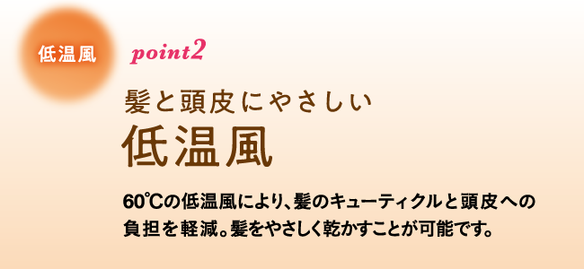 電磁波低減ヘアケアドライヤー