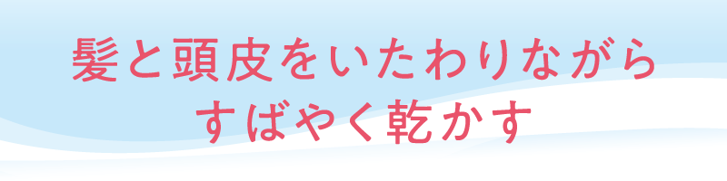 電磁波低減ヘアケアドライヤー